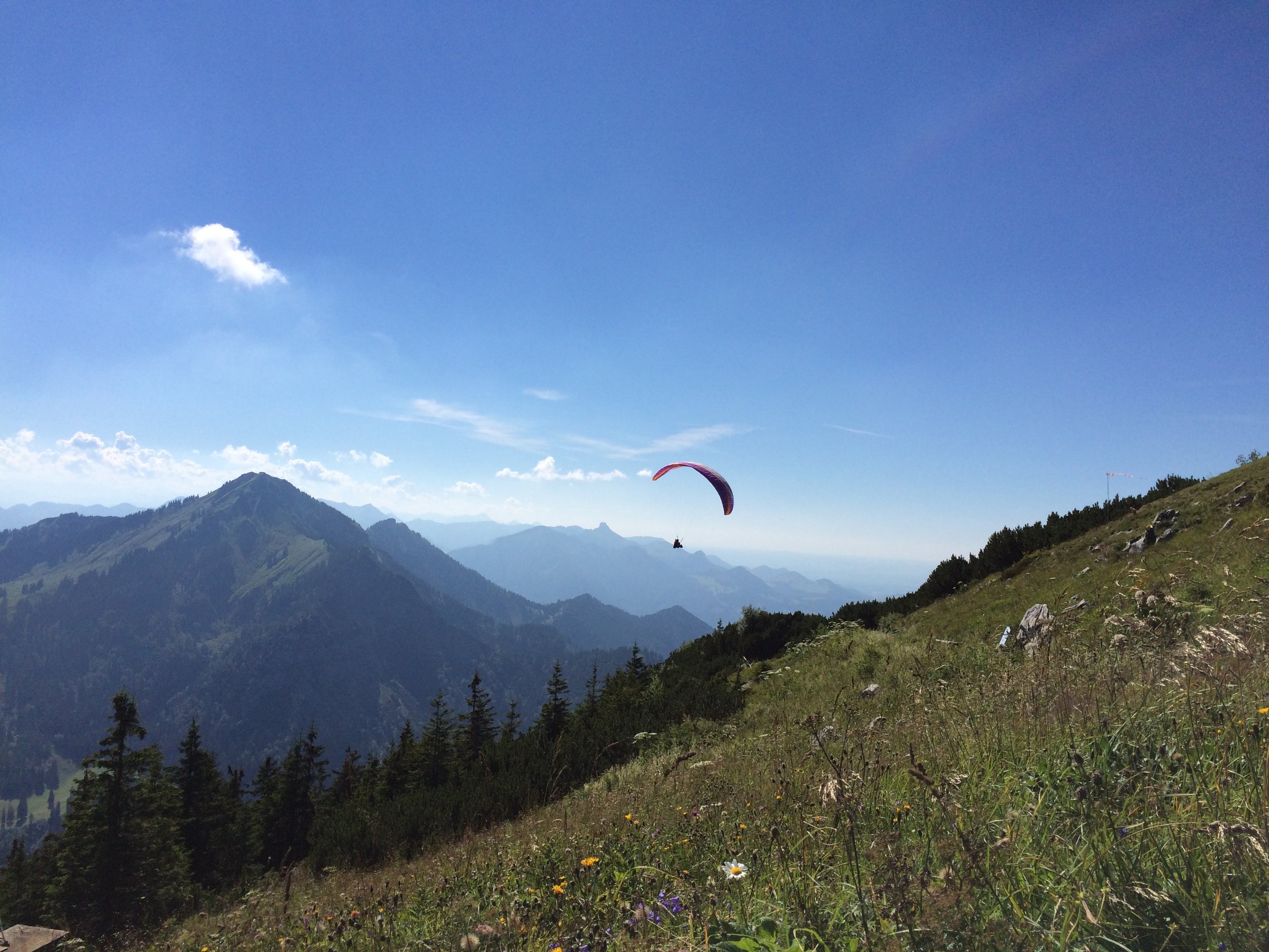 Paraglider am Hochfelln
