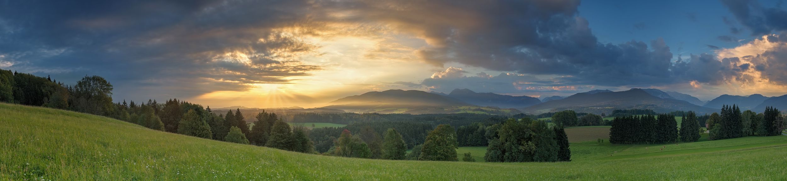 Panorama am Hochberg