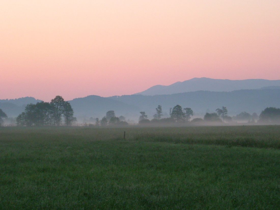 Bergener Moos Sonnenaufgang