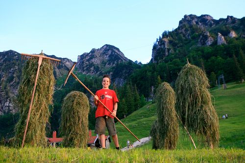 Heuernte auf der Bründling-Alm