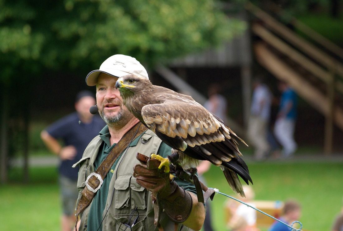 Falkner im Wildpark