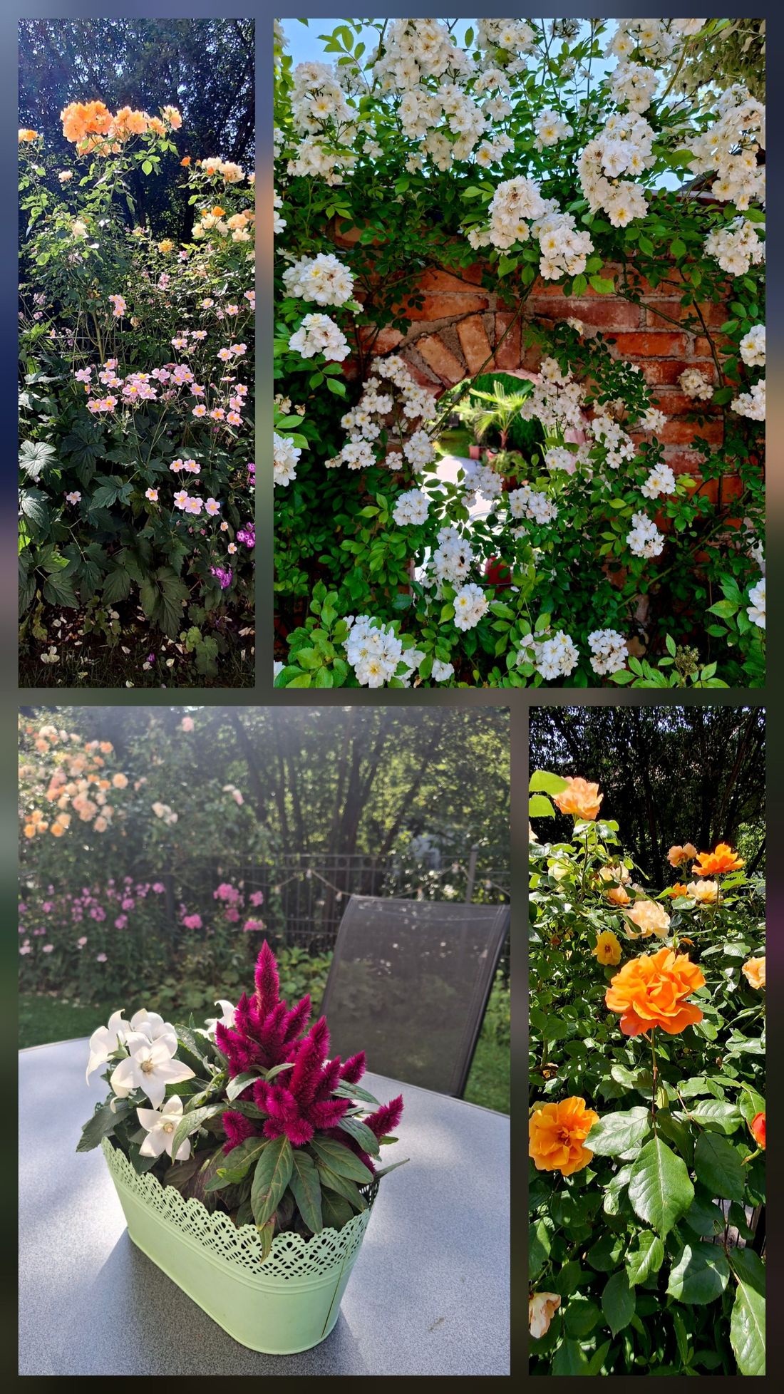 Blumenreicher Garten