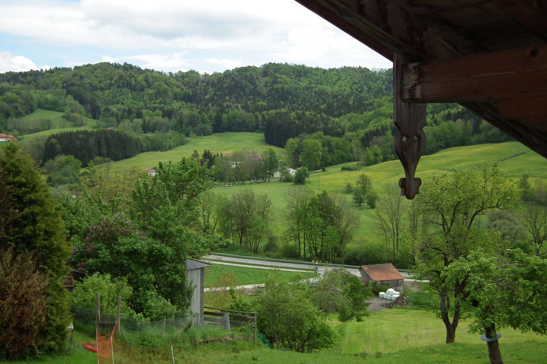 Blick vom Balkon