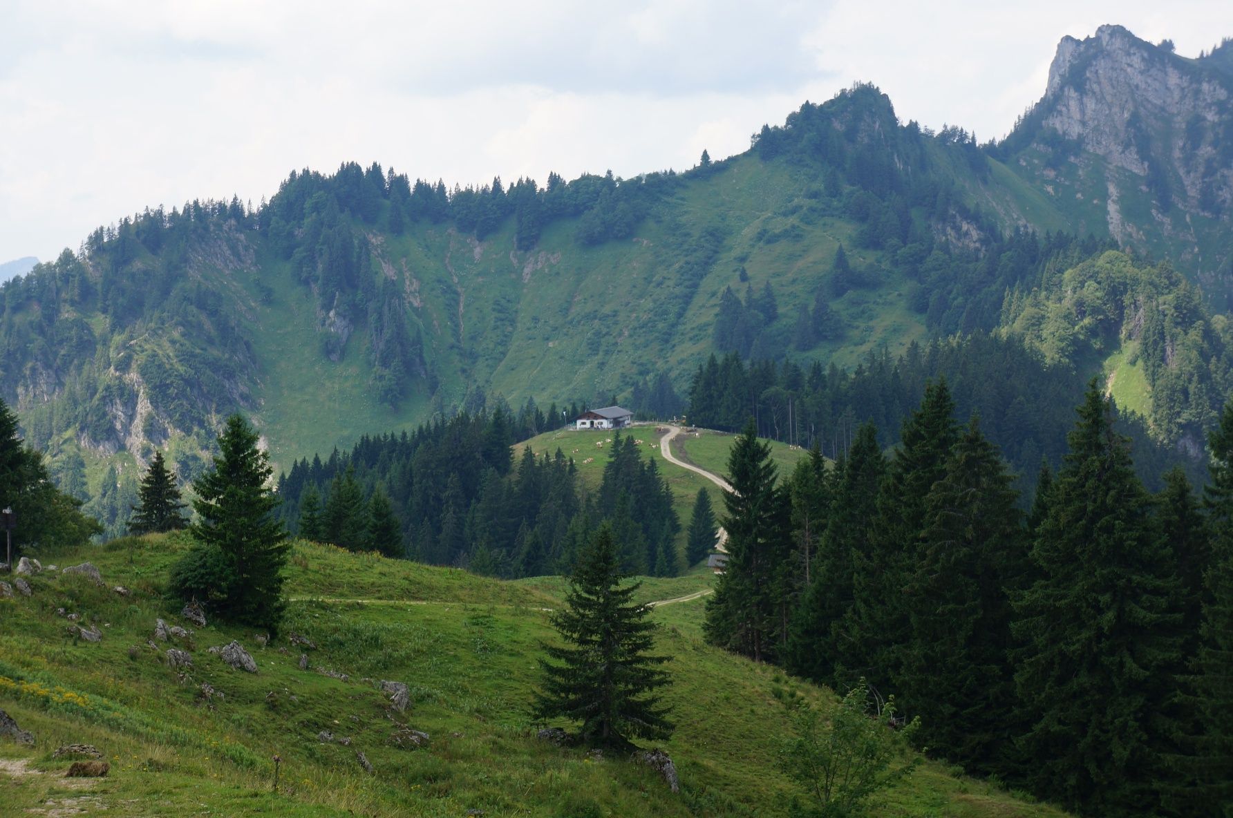 Blick zur Piesenhausener Hochalm