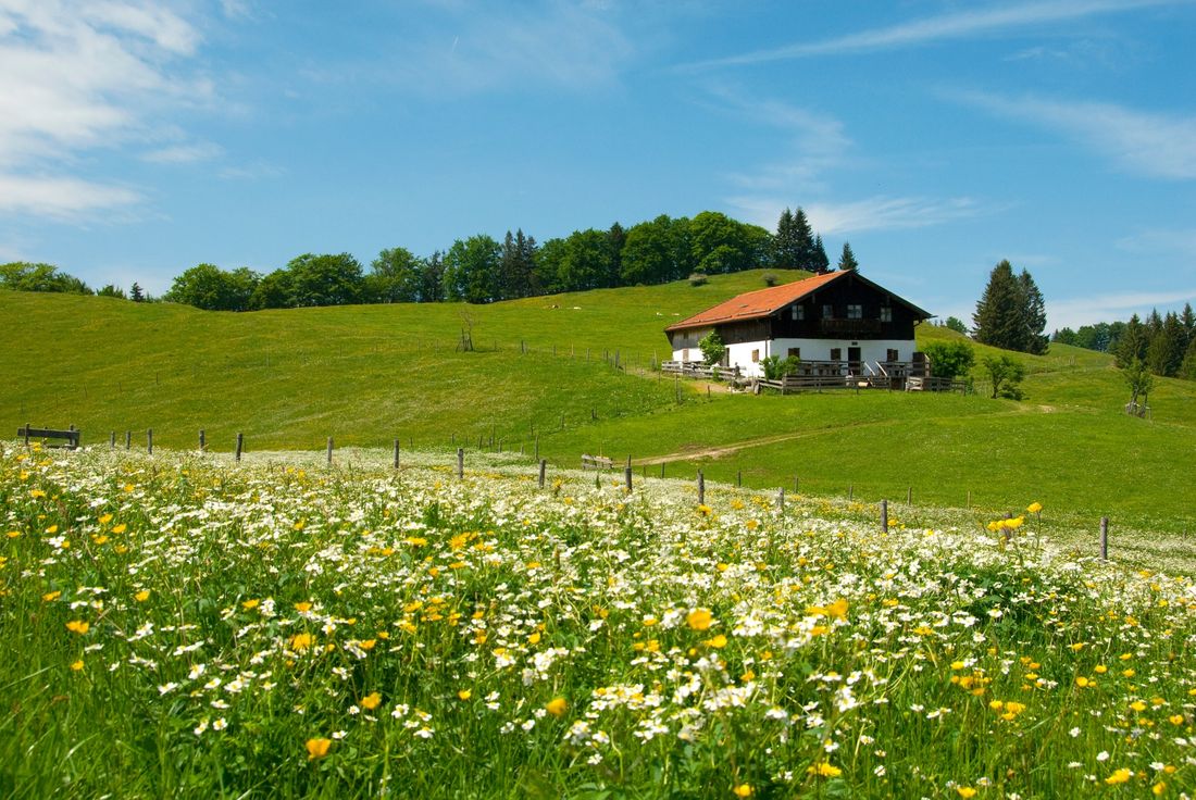 Moier-Alm