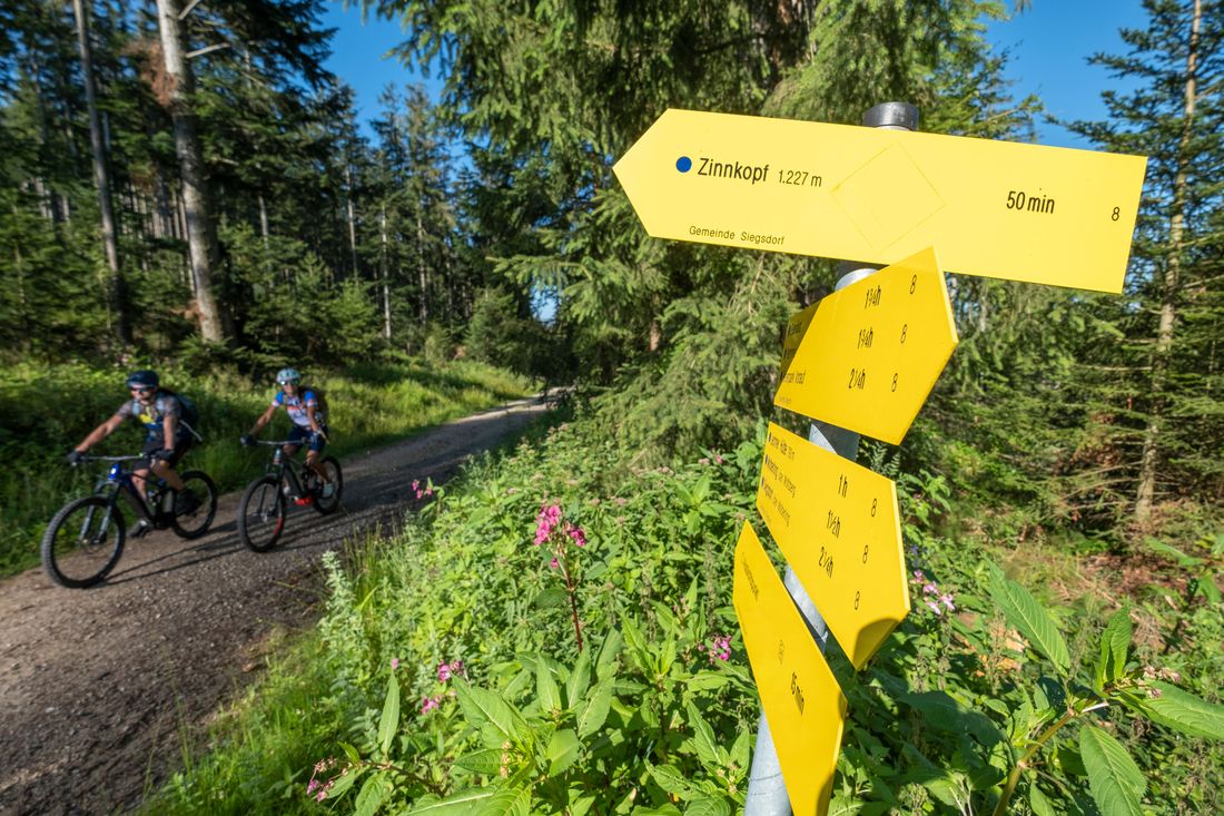 Schild Zinnkopf