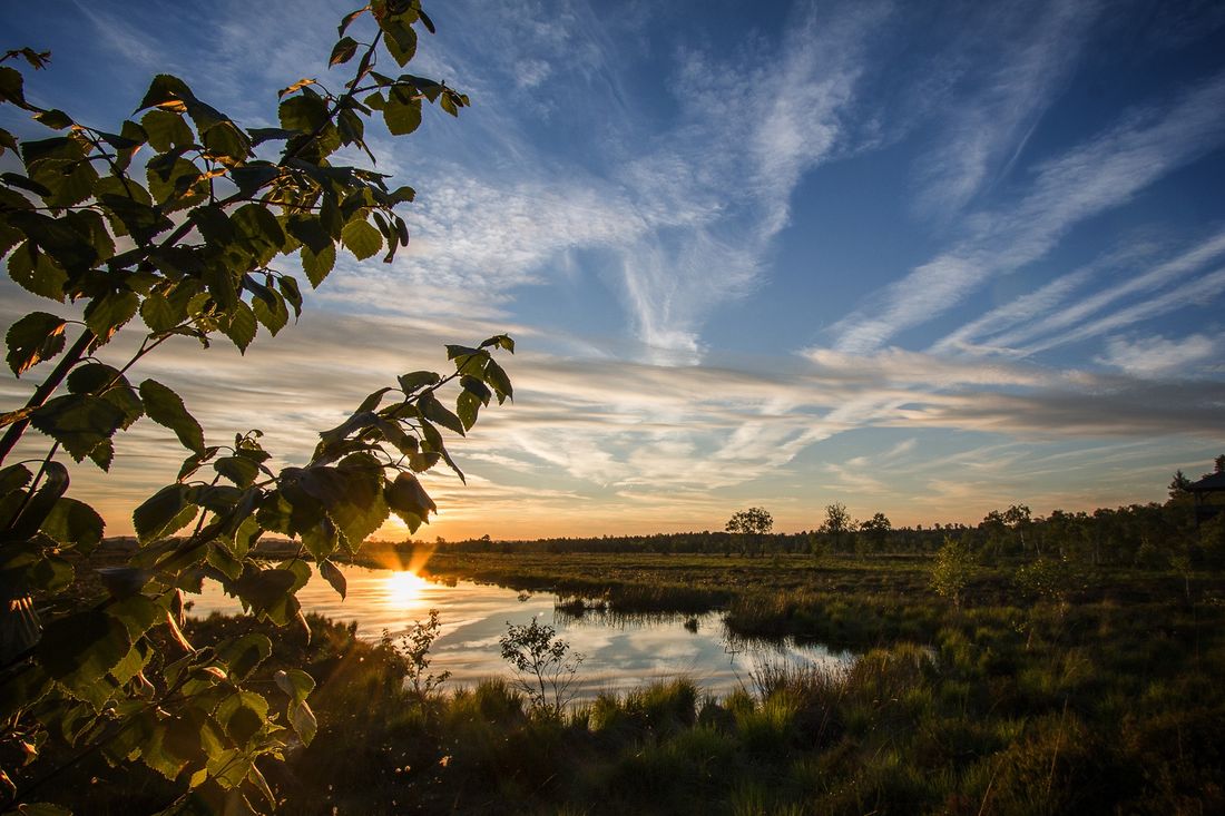 Abendstimmung in der Kendlmühlfilze