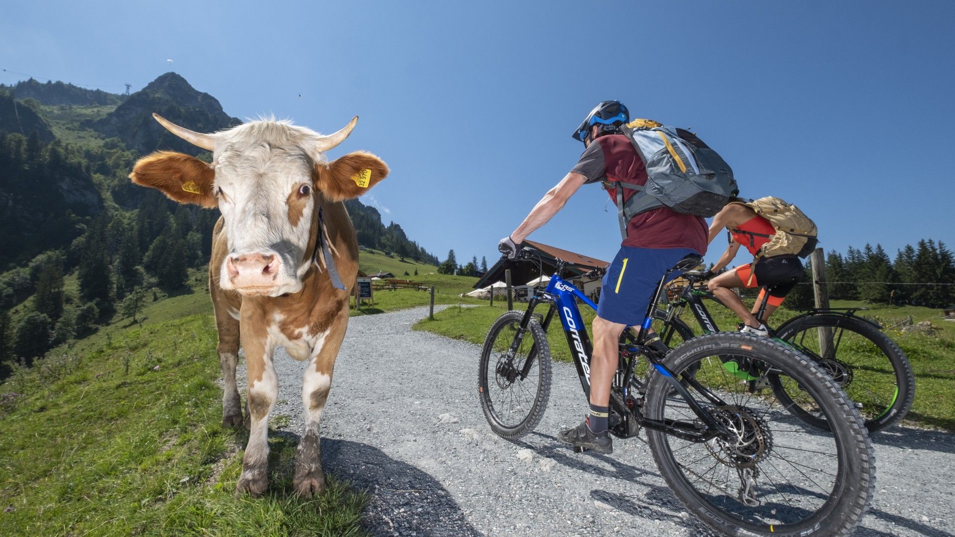 Zuschauer beim Biken