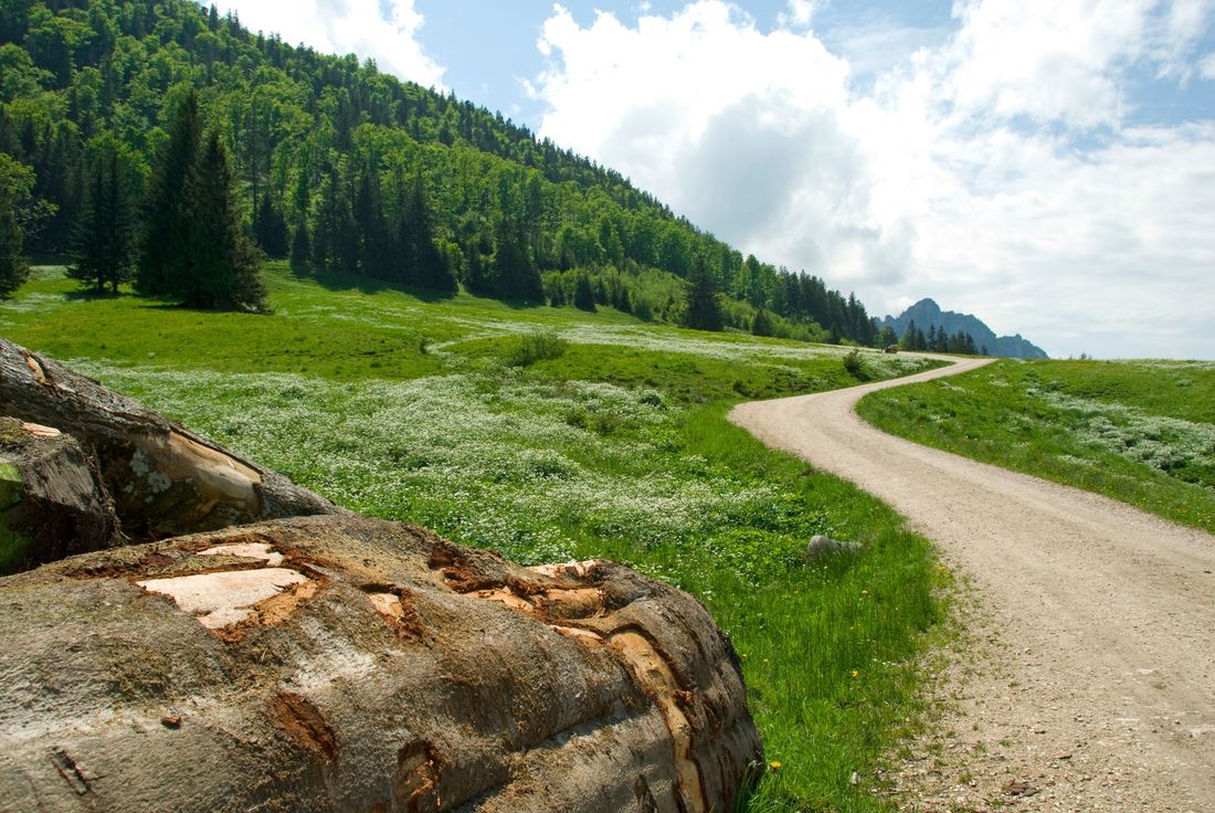 Wanderweg