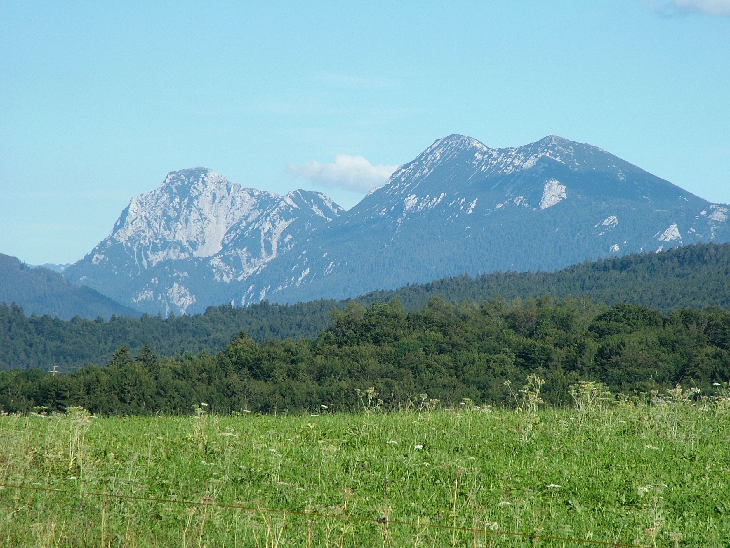 Sommerlandschaft in Siegsdorf