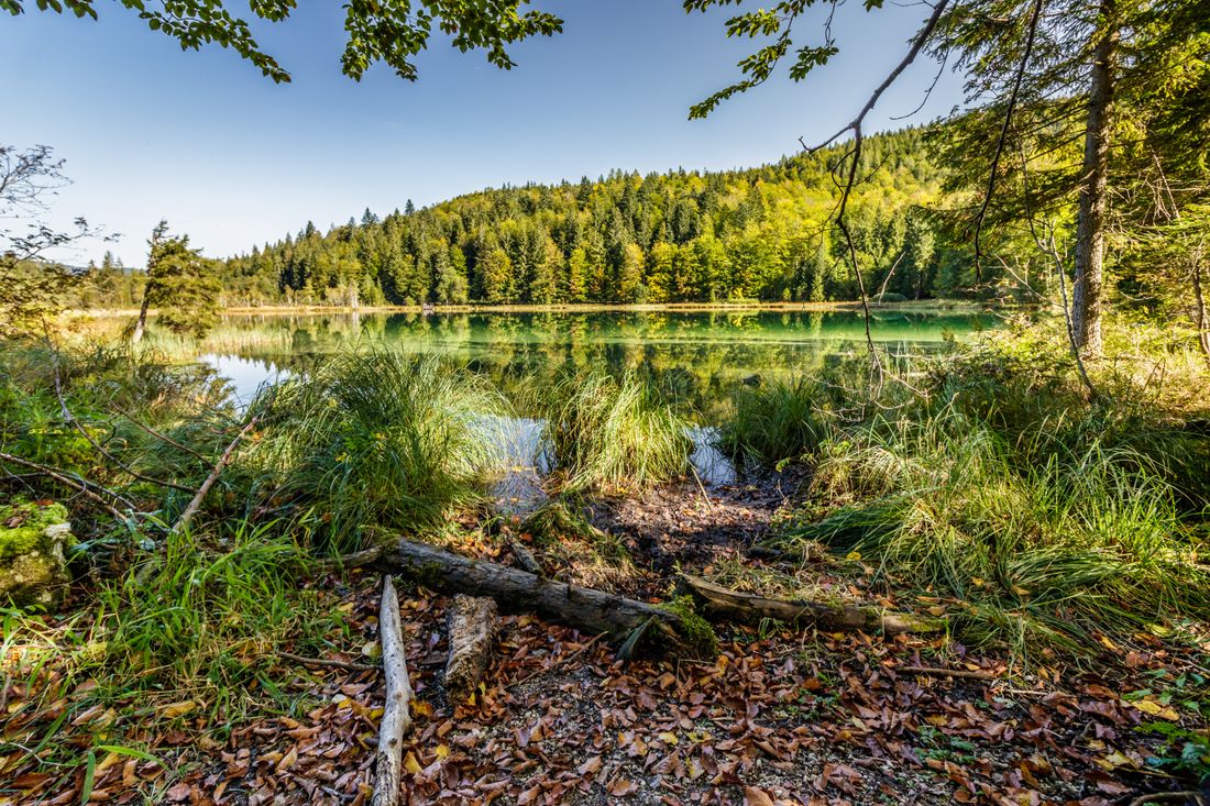 Frillensee im Herbst in Inzell