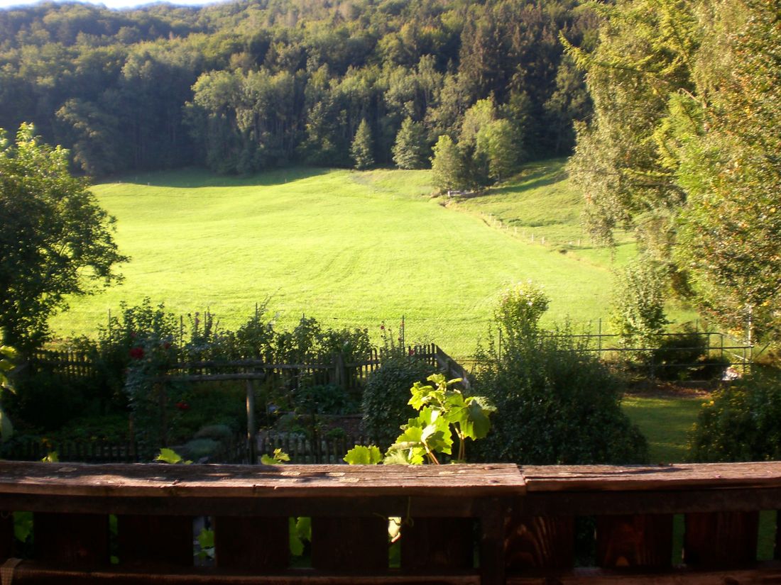 Aussicht vom Balkon in die Natur