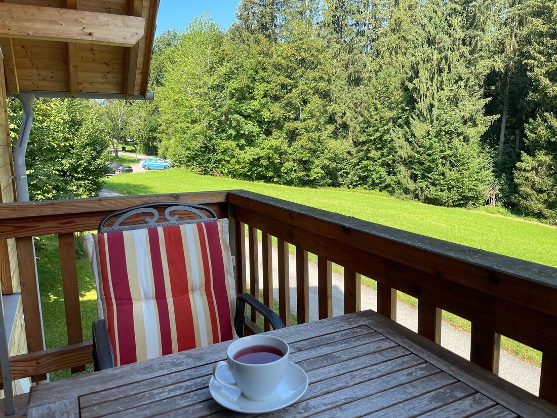 Nordbalkon mit Blick auf Waldlichtung