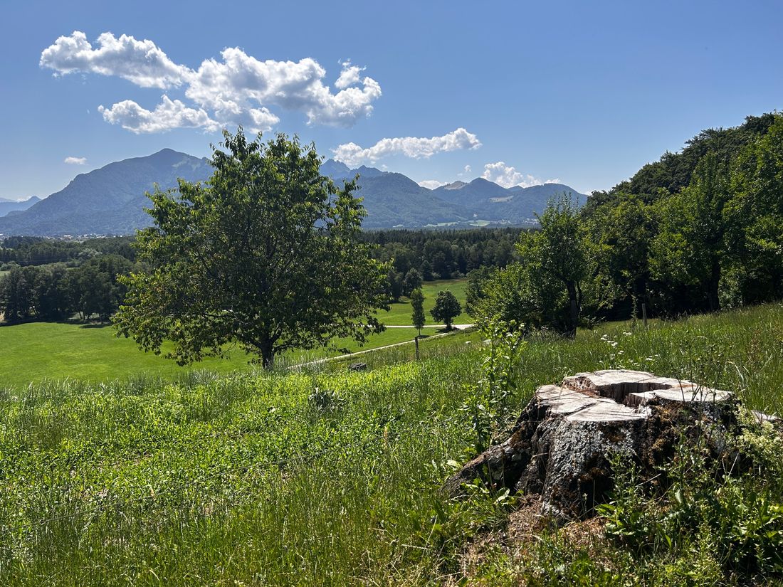 Aussicht vom Westerbuchberg