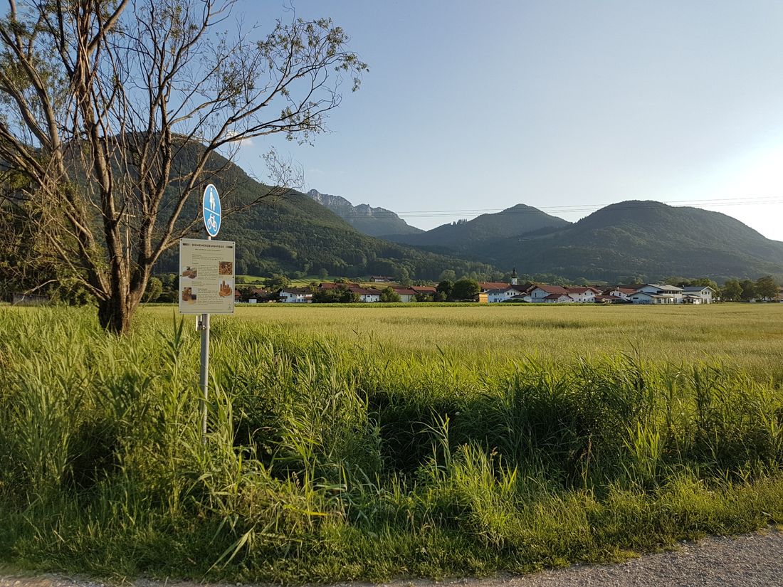 Bienenweg