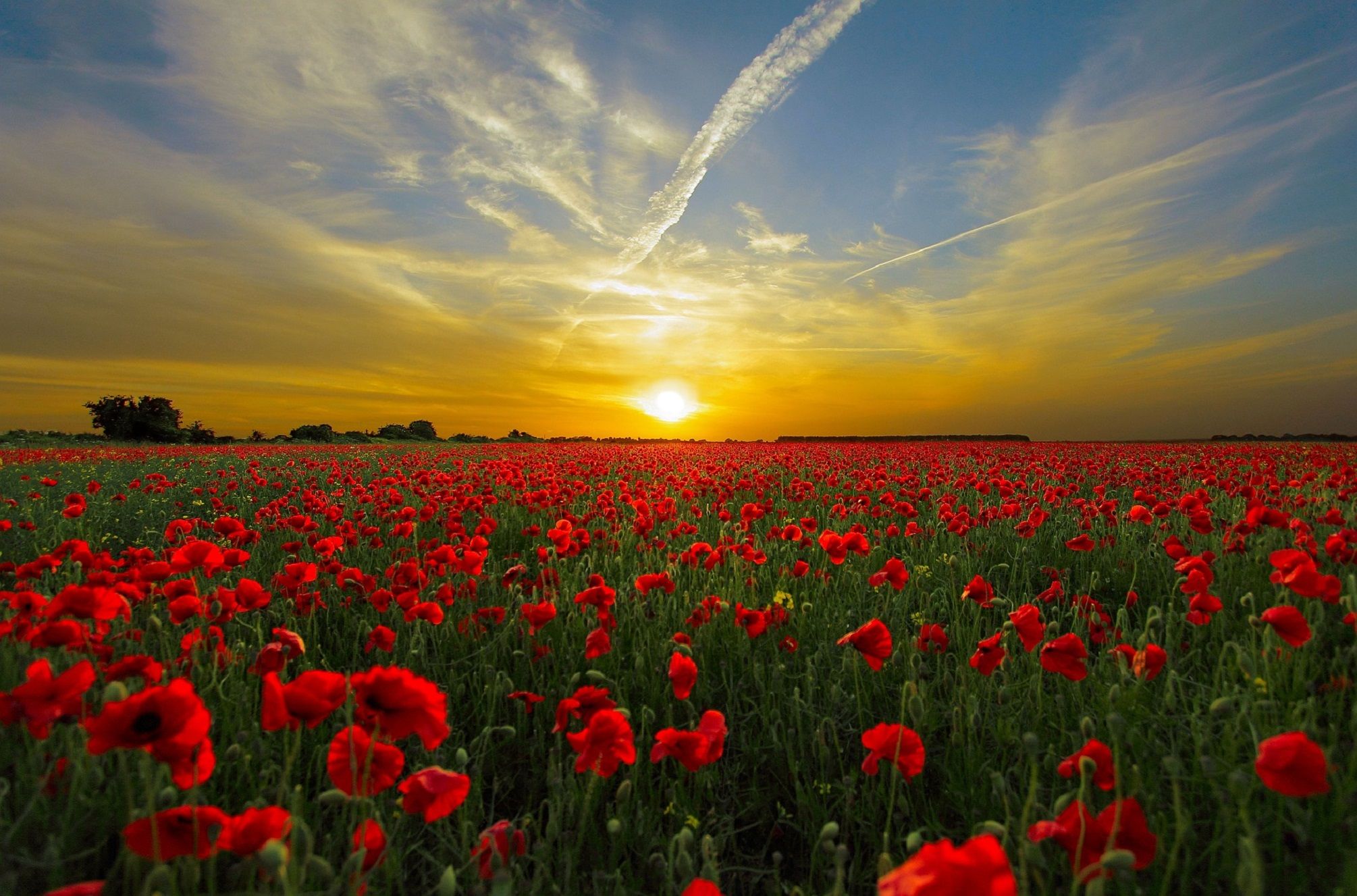 sunset-815270_1920_2