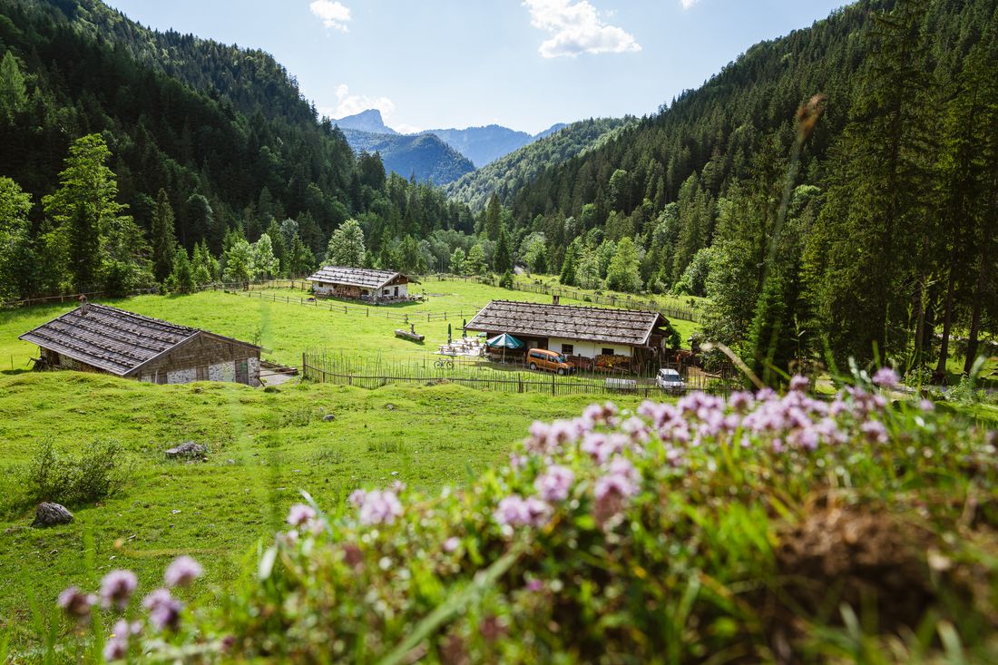 Schwarzachen Almen Pano