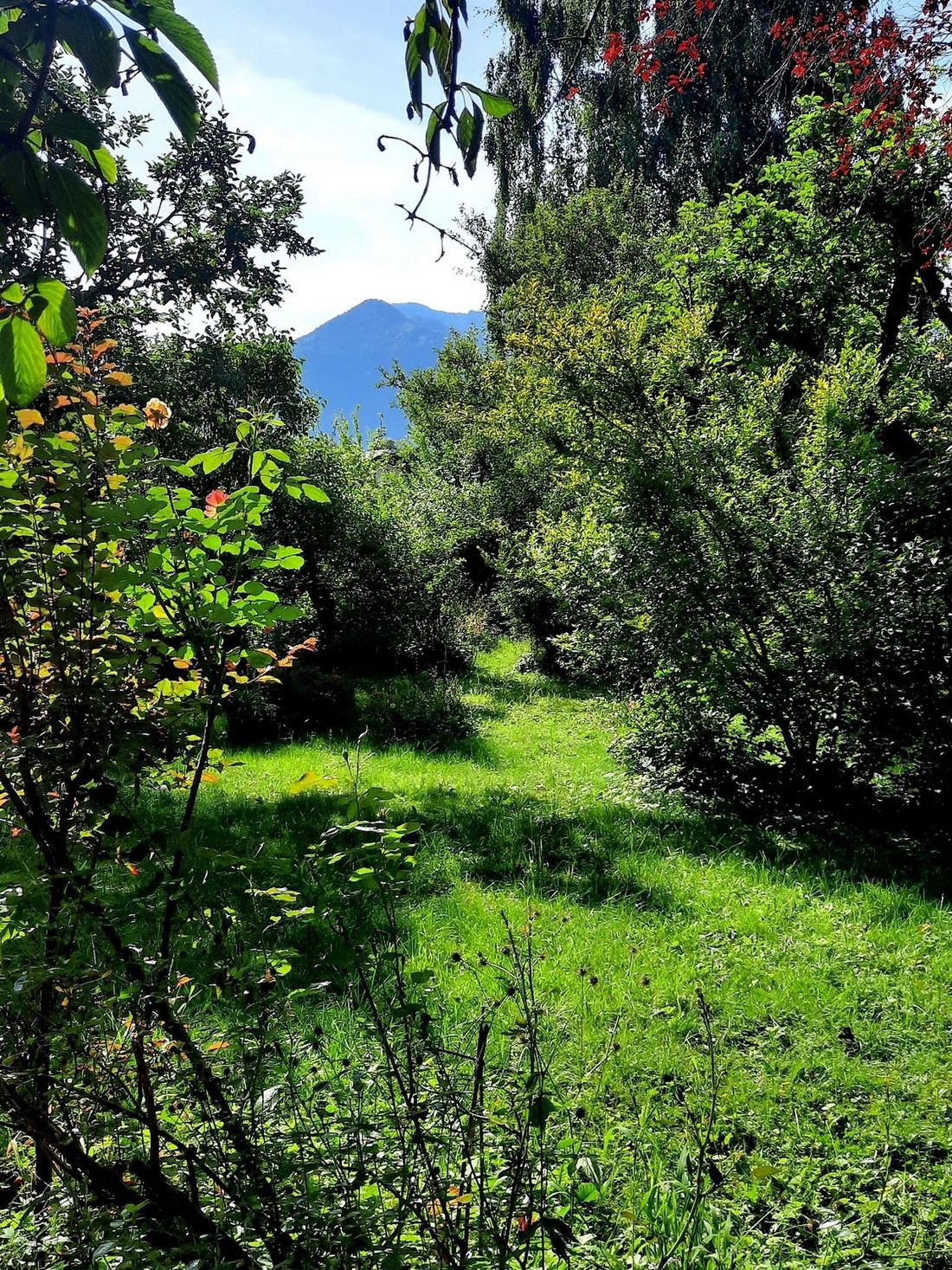 Garten Graziadei